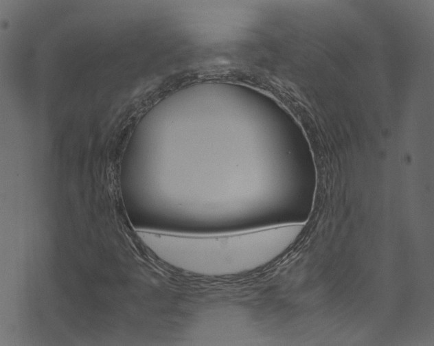 X0000071831445200606301023