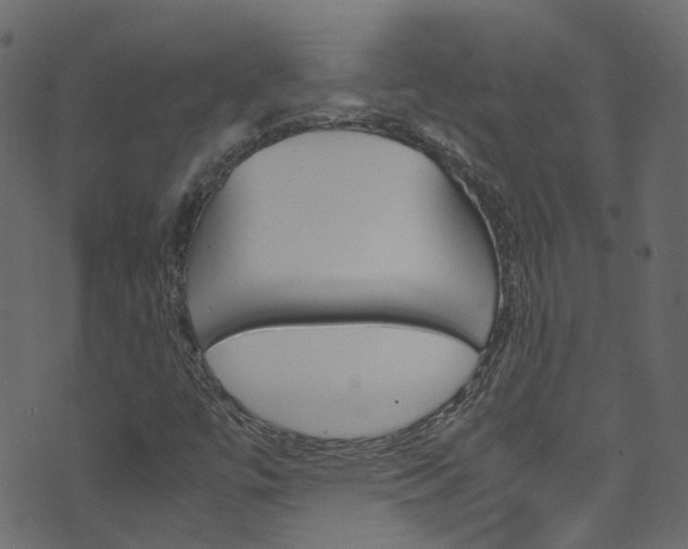 X0000071831447200606301023
