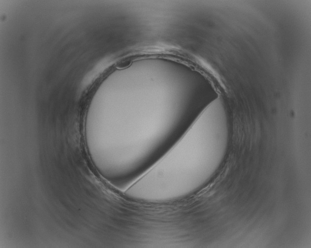 X0000071831456200606301023