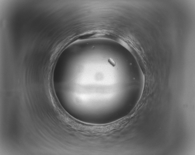 X0000071830001200606301331