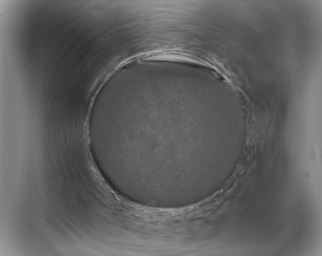 X0000071830002200606301331