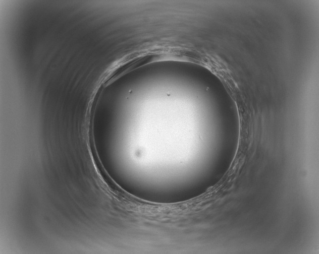 X0000071830003200606301331