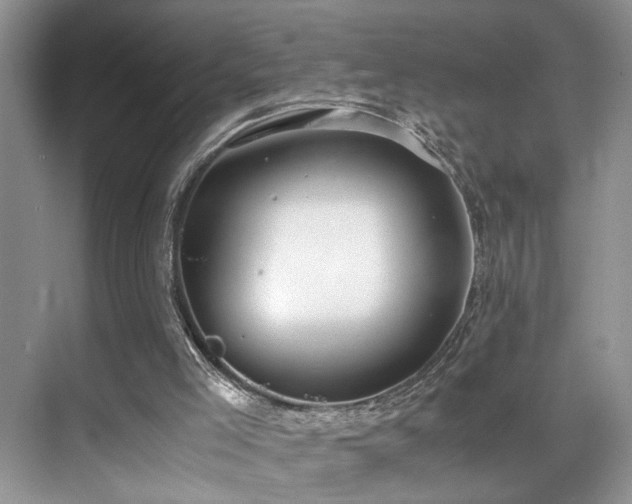 X0000071830005200606301331