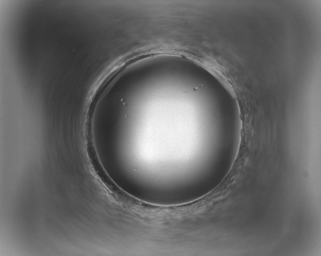 X0000071830007200606301331