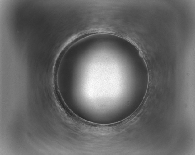 X0000071830008200606301331