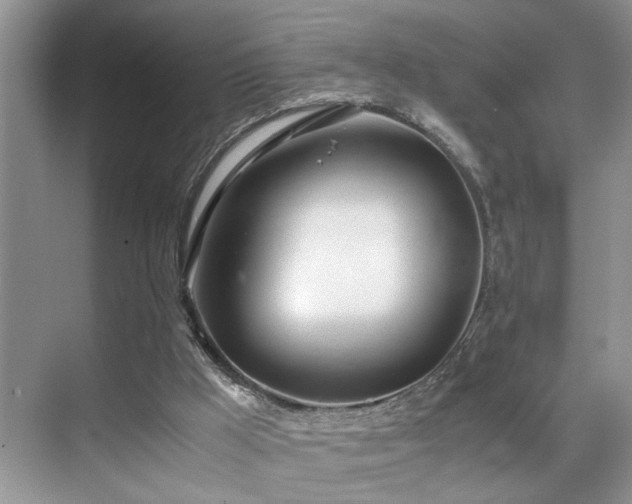 X0000071830009200606301331