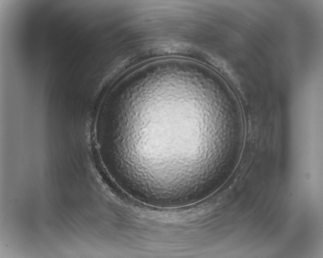 X0000071830010200606301331