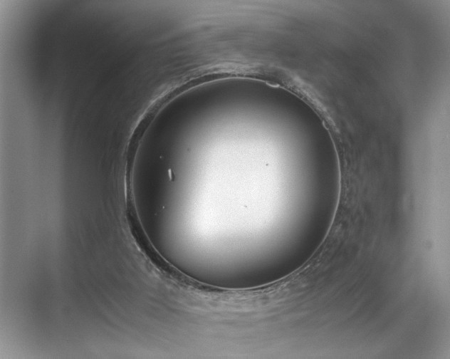 X0000071830011200606301330