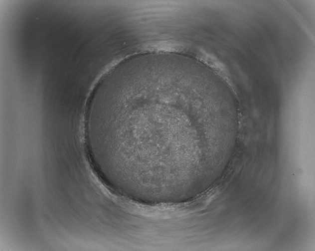 X0000071830012200606301330