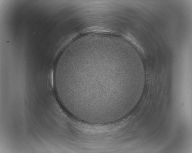 X0000071830014200606301330