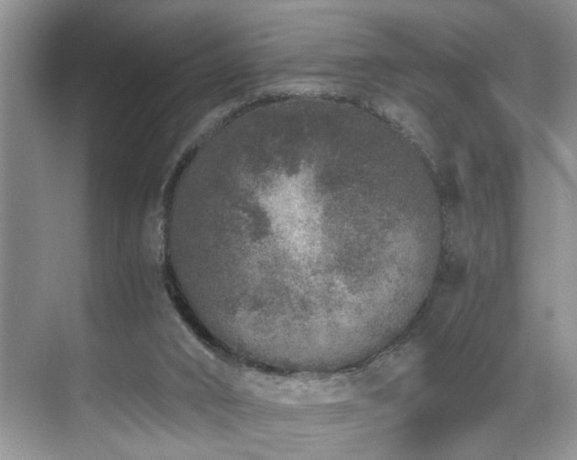 X0000071830016200606301330