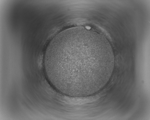 X0000071830018200606301330