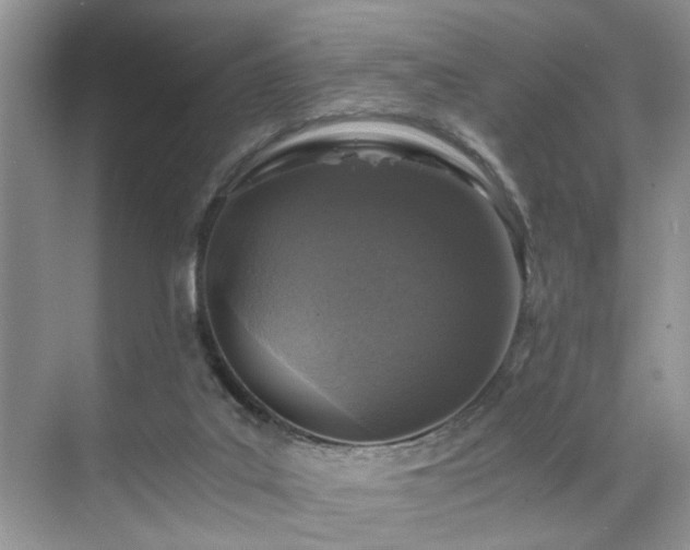 X0000071830019200606301330