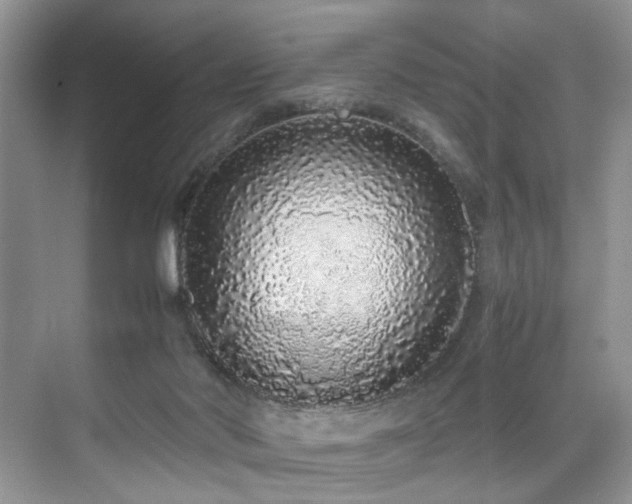 X0000071830022200606301330