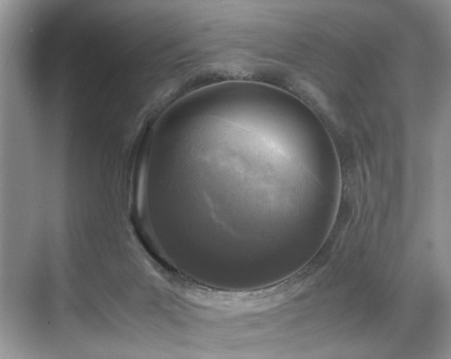 X0000071830023200606301330