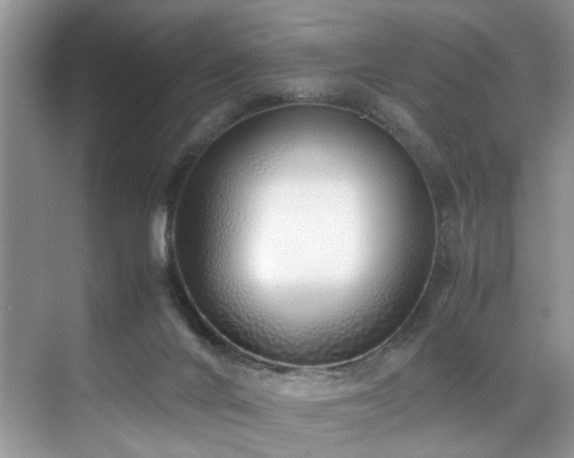 X0000071830024200606301330