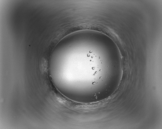 X0000071830025200606301330