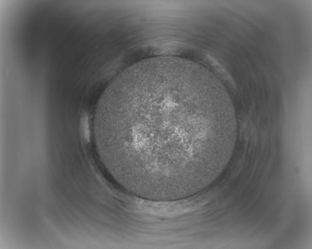 X0000071830026200606301330