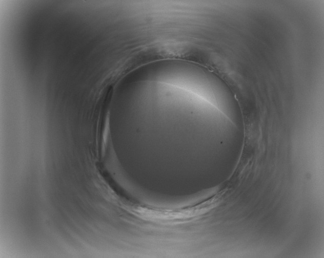 X0000071830027200606301330