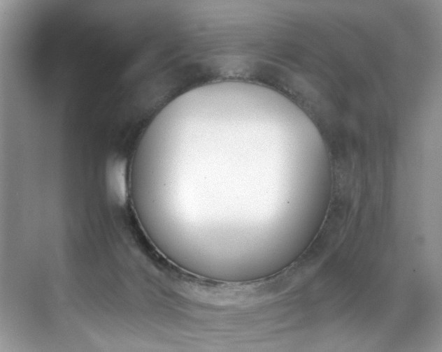 X0000071830028200606301330