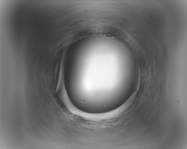 X0000071830029200606301330