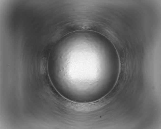 X0000071830030200606301330