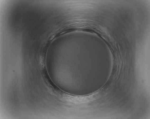 X0000071830031200606301330