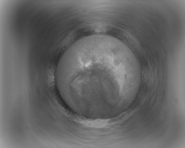 X0000071830032200606301330