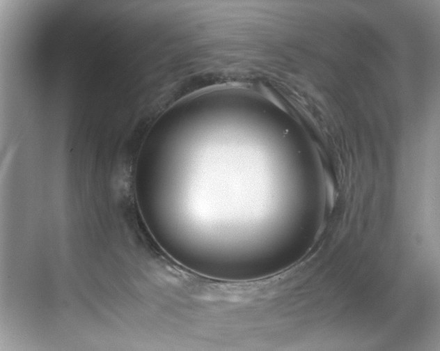 X0000071830033200606301330