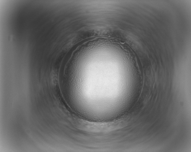 X0000071830034200606301330