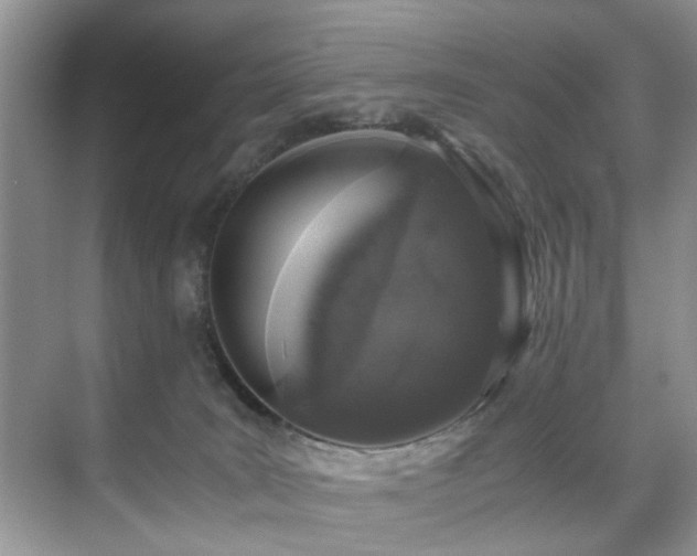 X0000071830035200606301330