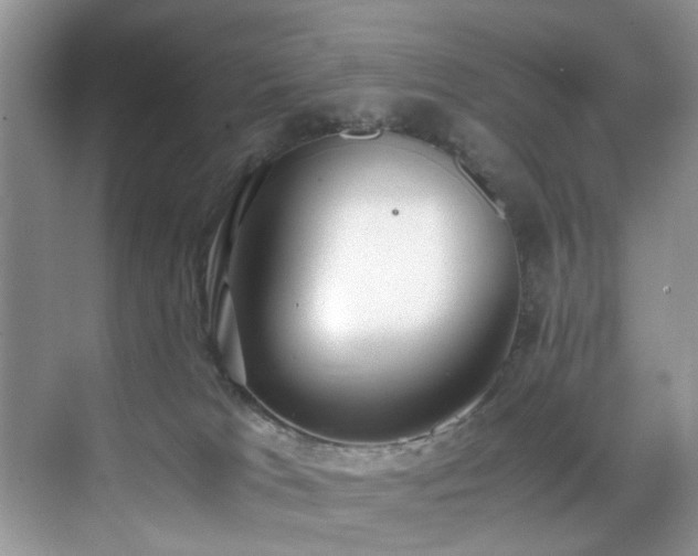 X0000071830037200606301330