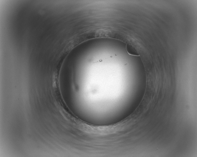 X0000071830038200606301330