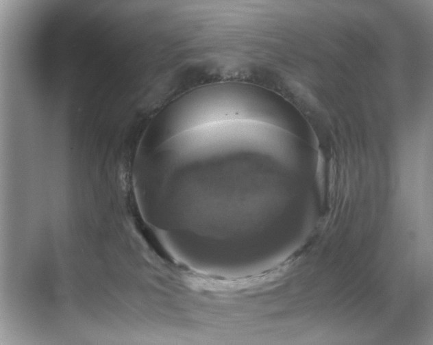 X0000071830039200606301330