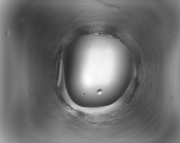 X0000071830041200606301330