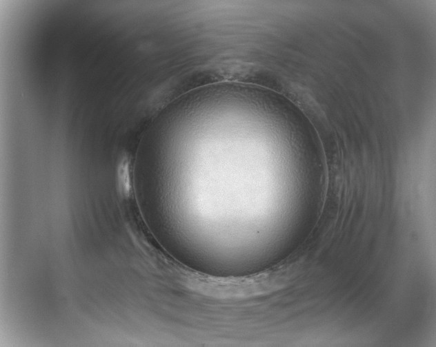 X0000071830042200606301330