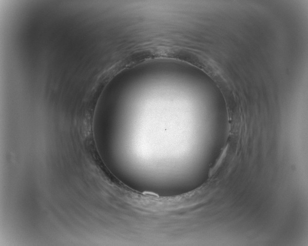 X0000071830043200606301330