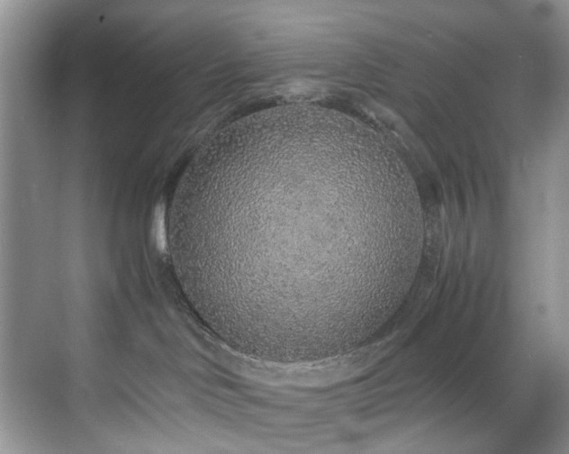 X0000071830046200606301330