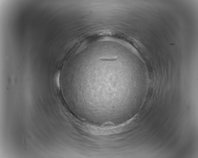 X0000071830047200606301330