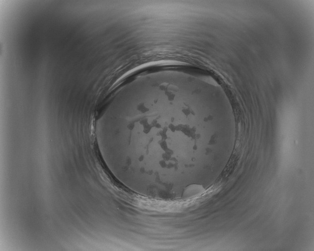 X0000071830048200606301330