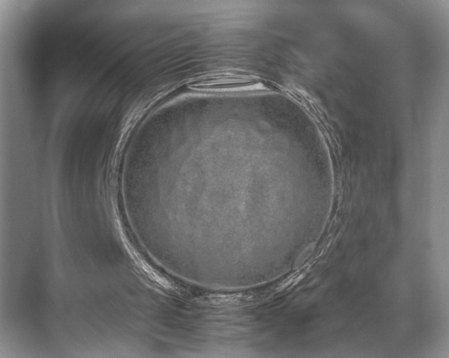 X0000071830049200606301329