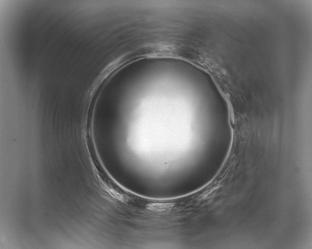 X0000071830051200606301329