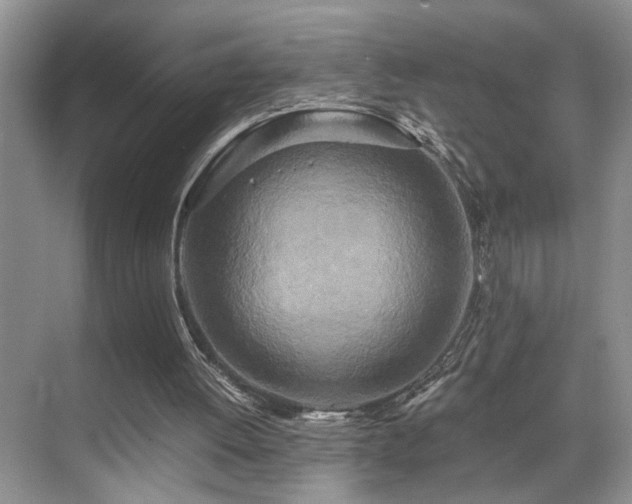 X0000071830052200606301329