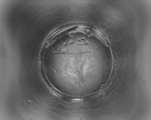 X0000071830053200606301329