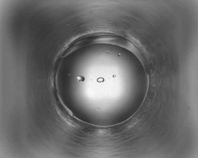 X0000071830060200606301329