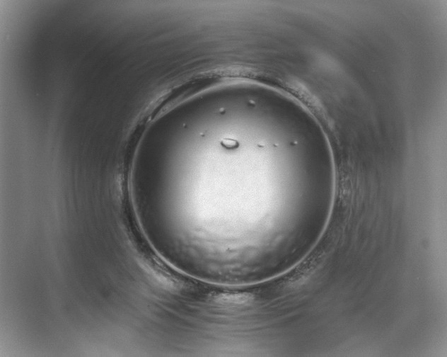 X0000071830063200606301329