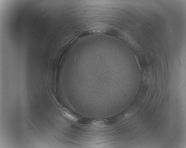 X0000071830076200606301330