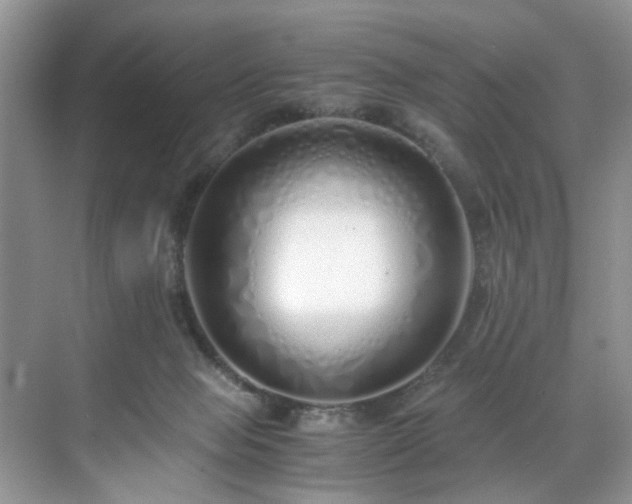 X0000071830077200606301330