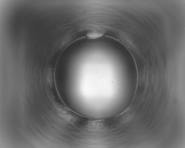 X0000071830078200606301330