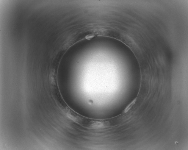 X0000071830083200606301330